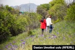 Сулайман тоонун боорундагы өсүмдүктөрдү аралап, эс алып жүргөн тургундар. Ош шаары.