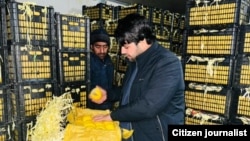 اسدالله پیوندي هغه چې د کندز د کروندګرو له کار مات زړونه یې بېرته پیوند کړل.