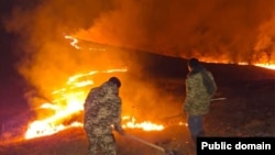 Armenia - Rescue workers battle a wildfire in Gegharkunik province, November 24,2025.