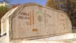 Votul în Videle, fieful doamnei Dăncilă