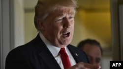 Трамп Доналд, Цхьаьнатоьхначу Штатийн президент