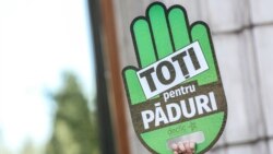 Declarația de la Glasgow și pădurile Moldovei