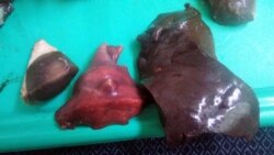 Garaşsyzlyk baýramynyň öňýanynda, Aşgabatda arzan bahadan et satuwa çykaryldy