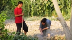 Diňle: Lebapda we Daşoguzda suw ýetmezçiligi ýitileşýär. Muňa näme sebäp bolýar?