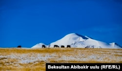 Кыргызстандын тоолуу аймактарынын бири.