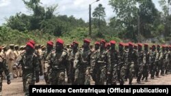 Батальйон урядової армії ЦАР, підготовлений за допомогою російських інструкторів
