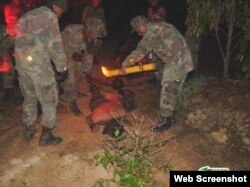 Фото з сайту fishki.net