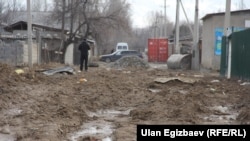 Бишкектеги жаңы конуштардын бири.