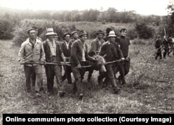 Чоловіки несуть ведмежу тушу з лісу для огляду її Чаушеску під час полювання в 1972 році