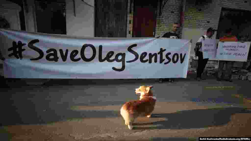 80-й день голодовки. Активисты пришли к офису спецпредставителя Украины по вопросам гуманитарного характера в Трехсторонней контактной группе Виктора Медведчука с требованием перейти к активным действиям в вопросе освобождения украинских политузников.