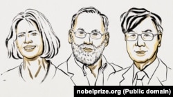 Նոբելյան մրցանակի դափնեկիրներ Մերի Բրունկով, Ֆրեդ Ռամսդել և Շիմոն Սակագուչի