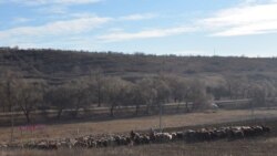 Competiția electorală din Hâncești și confruntarea poliltică