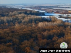 Pădurea de la Zamostea-Lunca, din apropierea Siretului, în județul Suceava.