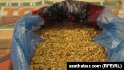 Türkmenistan, ýurt içinde öndürilen temmäki. 