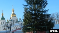 Встановлення головної ялинки у Києві, 7 грудня 2016 року