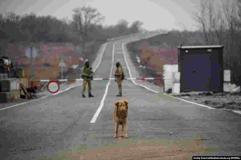 КПВВ &laquo;Золоте&raquo; має можливість пропускати автотранспорт.&nbsp;
