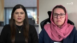 د طالبانو پر ضد د سیډا کنوانسیون له مخې کومې قضیې ثبت شوې دي؟