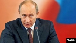 Vladimir Putin called seal hunting a "bloody business."