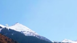 Кыргызстанцы скинулись и посадили деревья в горах: как это было