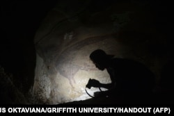 Până nu demult, aceasta era cea mai veche pictură rupestră cunoscută din lume: o imagine în mărime naturală a unui porc sălbatic care a fost realizată în urmă cu cel puțin 45 500 de ani, descoperită la Leang Tedongnge în Sulawesi, Indonezia.