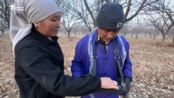 Баткен: Мал-жандыкка кам көргөн ветеринар жубайлар 