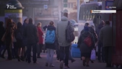 Збирач ягід, працівник м’ясокомбінату та «айтішник» – як працюється українцям у Польщі (відео)