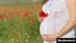 Кош бойлууларга көк чай болбойт.