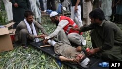 زیانمن شوي افغانان 