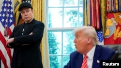 İlon Mask və Donald Tramp