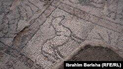 Figura e kalit në mozaikun e dyshemesë së bazilikës.