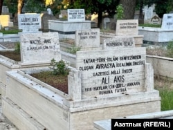 Акышлар гаиләсе бер тирә җирләнгән