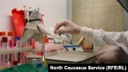 Лаборатория, где проводят анализы на наличие коронавирусной инфекции. Ставрополь, Россия. 