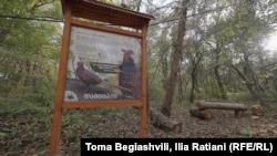 ასეთ ბანერებს წარწერით "დამიცავი" ან "ნადირობა აკრძალულია" კრწანისის ტყეპარკში ბევრგან შეხვდებით