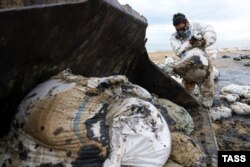 Волонтери зачищають узбережжя Анапи від нафтопродуктів, Росія, 24 грудня 2024 року. Архівне фото