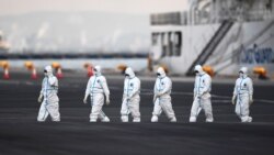 Медики після відвідування круїзного лайнера Diamond Princess