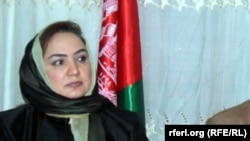 شکریه بارکزی، سفیر نظام پیشین افغانستان