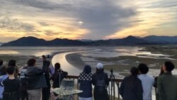 Нуриланын азырынча Кыргызстанга кайтып келүү планы жок.