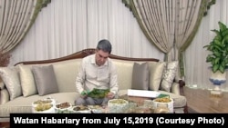 G.Berdimuhamedow "Türkmenistanyň derman ösümlikleri" atly kitabynyň nobatdaky tomunyň üstünde işleýär. Arhiw suraty