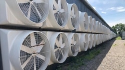 Майнинг-ферма в Бишкеке. Фото: ГСБЭП.