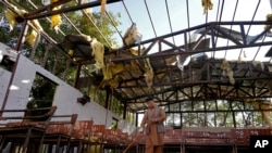 پیش از این نیز حمله بر هزاره‌ها در افغانستان که عمدتا مسوولیت ان توسط داعش پذیرفته شده، واکنش‌هایی را در پی داشته است.