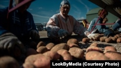 Ілюстрацыйнае фота