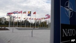 Прапори держав-членів НАТО біля штаб-квартири союзу у Брюсселі