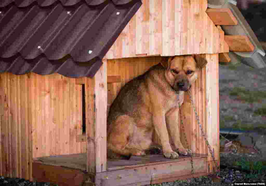 Больше фото села под Симферополем во время дождя&nbsp;&ndash; по ссылке &nbsp;