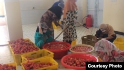 ارشیف، یو شمېر سوداګرۍ مېرمنې