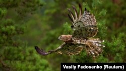 Ілюстрацыйнае фота