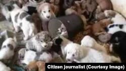 Ангар на территории мусороперерабатывающего завода в Чоганлы (архивное фото)  