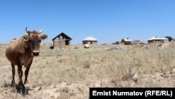 Мыйзамсыз сатылган жер тилкелерге үйлөр салынып, тургундар жашап жатат. 