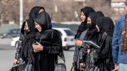 د نجونو د زده کړو ملي کمپاین وايي ځینې طالب چارواکي مدرسه يي ذهنیت لري او د نجونو د زده کړو مخه یې نیولې .
