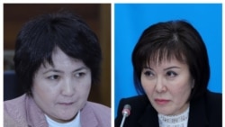 Мыйзамдын авторлору Айнура Осмонова жана Гүлшат Асылбаева.