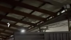 Спецназ в масках и с автоматами: задержание кыргызской правозащитницы Карасартовой